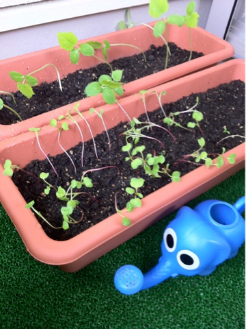 image-20110726231752.png